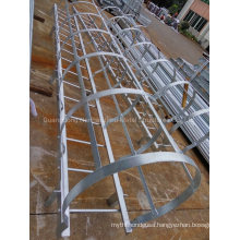 Hot DIP Galvanized Steel Stairway Cat Ladder Cage Ladder